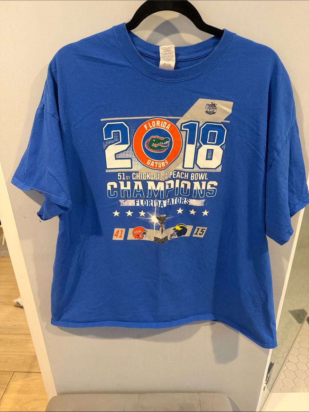 Gildan Blue Florida Gators 2018 Champions Tee